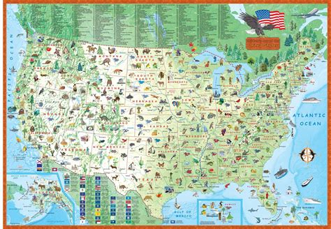 Childrens Map Of The United States