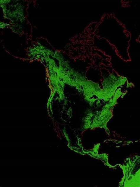Worlds Forests As Seen From Space 25 Pics