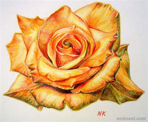 (this comes in handy when drawing fine details like animal fur, flower filaments and anthers, leaf veins there are several methods to create the lightest areas in your colored pencil drawings, and they often if the highlights are super tiny or need a punch, try using touch of white crayon, pastel. 25 Beautiful Rose Drawings and Paintings for your inspiration