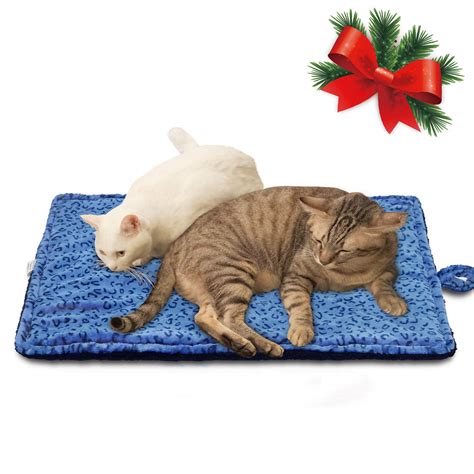 The 9 Best Large Outdoor Heating Pad For Feral Cats Home Creation