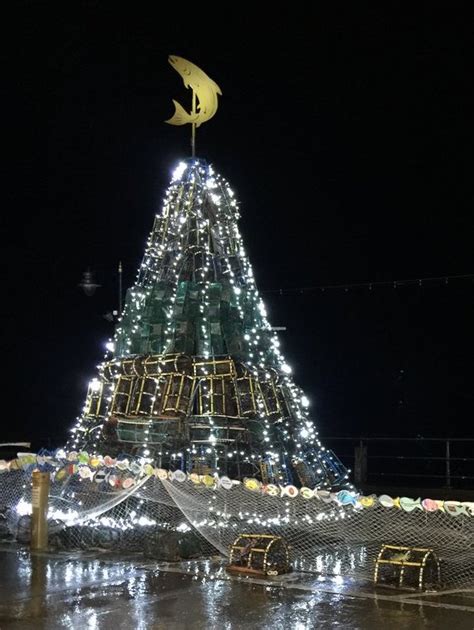 Fishtive Tree Lit Filey