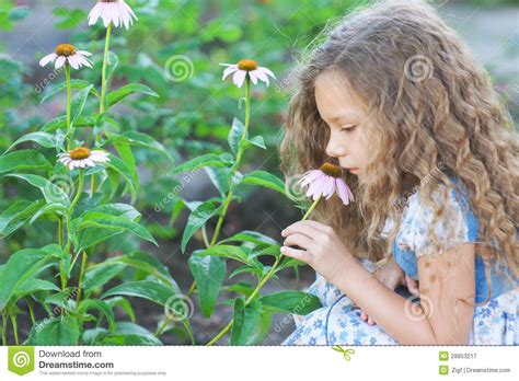 Little Girl Smelling Flower Garden Stock Image Image Of