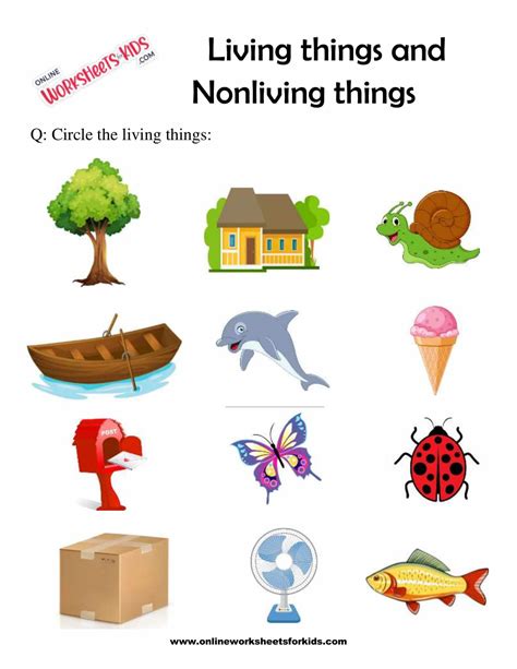 Living Things And Non Living Things Worksheet