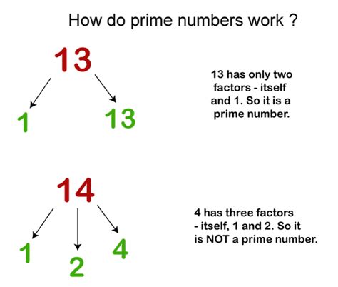 Prime Numbers Javatpoint