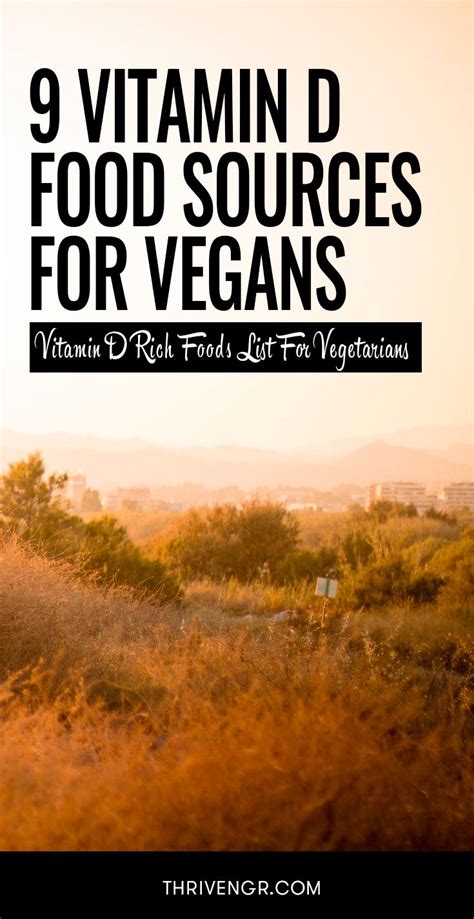 Our guide to vegan sources of foods and supplements high in vitamin d guarantee you won't be deficient on a vegan diet. Vitamin D For Vegans: 9 Vitamin D Rich Foods List And ...