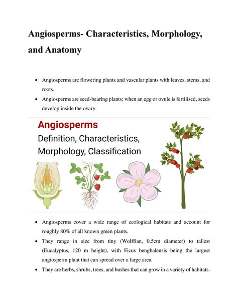 Angiosperms Characteristics Morphology And Anatomy Angiosperms