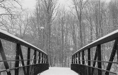 Walking On A Bridge In A Snow Covered Forest Photography Taken By
