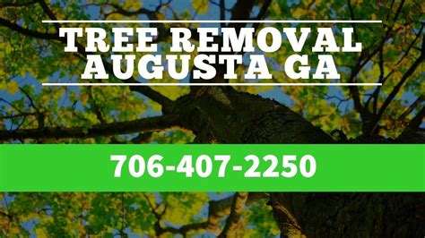 This will keep your freshly cut loganville georgia christmas tree looking and smelling fresh throughout the parties, presents and holiday fun. Tree Cutting Costs Augusta GA | Professional Tree Removal ...