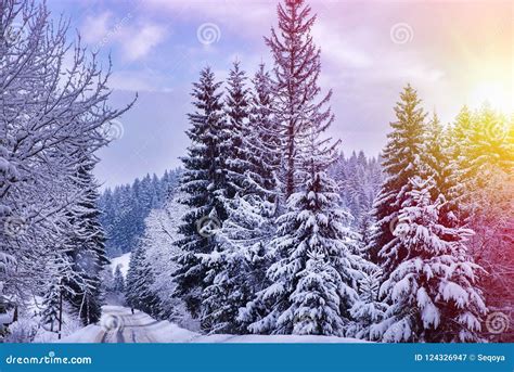 Christmas Winter Landscape Stock Image Image Of Alps 124326947