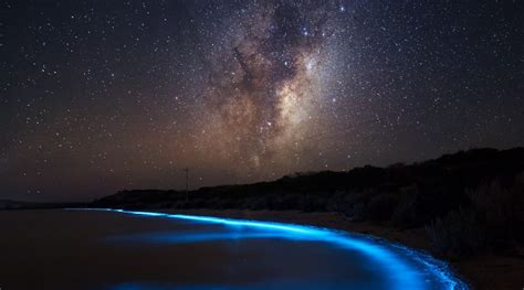 Voie Lactée Et Bioluminescence Dans Le Sud De Laustralie