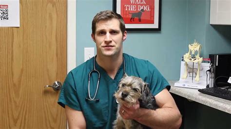 Contact us today via phone, email, or the contact form below. Dr. Eric Ruhland from St. Paul Pet Hospital on being a ...