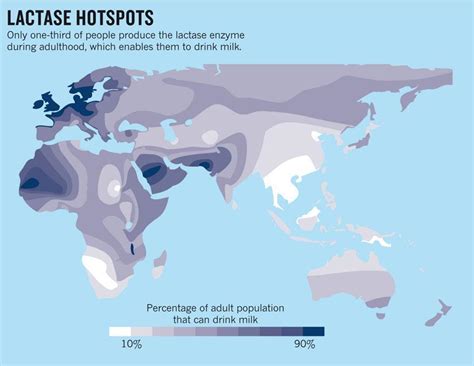 World Map Of Lactose Toleranceintolerance Maps On The Web