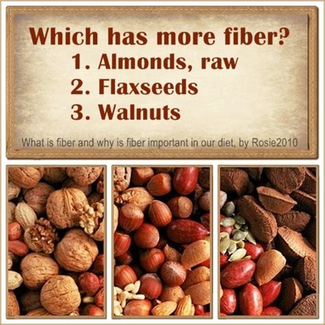 What Is Fiber And Why Is Fiber Important In Our Diet Hubpages