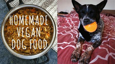 Homemade Vegan Dog Food Recipe Super Cheap Healthy And Easy Vegan Dog