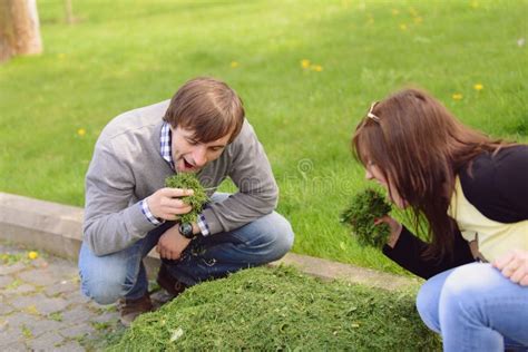 Eating Green Grass Stock Image Image Of Love Grass 40432203