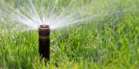 The 5 Best Smart Sprinkler Systems To Conserve Water And Cash