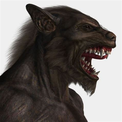 Werewolf Fantasy Creatures Mythical Creatures Skin Walker Vampire