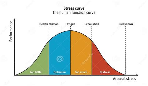 Stress Curve Or Human Function Curve Vector Stock Vector