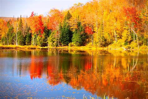 The 10 Best Places In The Usa To See The Foliage This Fall Chillbo