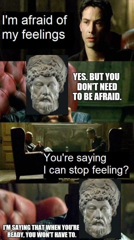 The Best Stoic Memes Memedroid