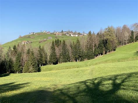 Subalpine Meadows And Livestock Pastures On The Slopes Of The Swiss