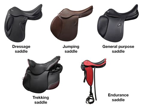 How To Find The Best Horse Saddle For Your Riding Style Your Choices