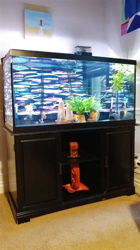 90 Gallon Fish Tank For Sale 43 Ads For Used 90 Gallon Fish Tanks