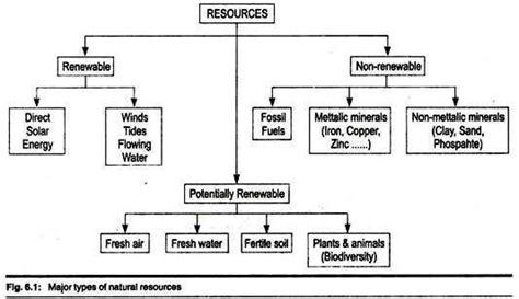 Classification Of Resources Flow Chart