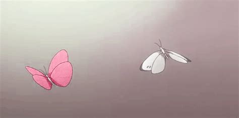 Бабочки гифки хорошего настроения