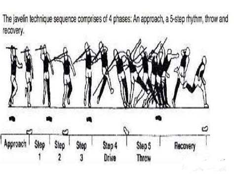 Biomechanics Of A Javelin Throw Studiousguy