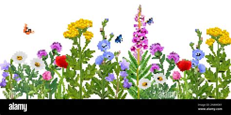 Realistic Wildflower Field With Colorful Flowers And Butterflies Vector