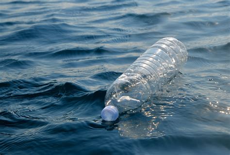 How Long Plastic Bottles Take To Degrade In The Ocean Readers Digest