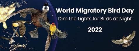 World Migratory Bird Day Birdscaribbean