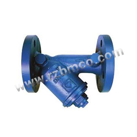 Shop Swing Check Valve Cast Iron Pn16 Herz Online Rzbm