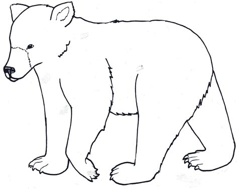 Free Outline Of Bear Download Free Outline Of Bear Png Images Free