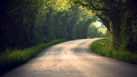 Landscape Road Trees Wallpapers Hd Desktop And Mobile Backgrounds