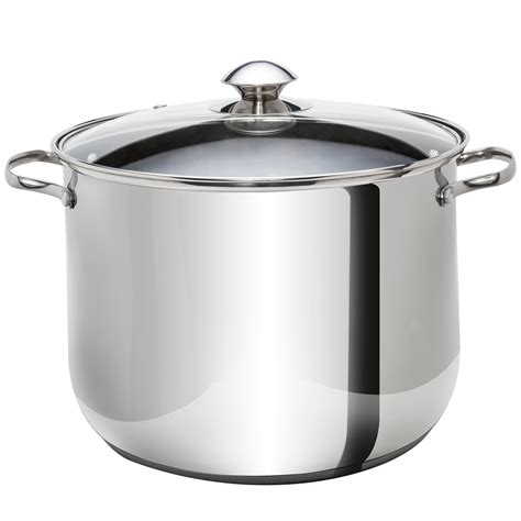 Ecolution Pure Intentions Stainless Steel 20 Qt Stock Pot With Glass