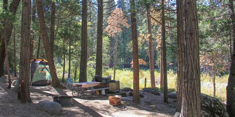 Wawona Campground Yosemite National Park Camping In California
