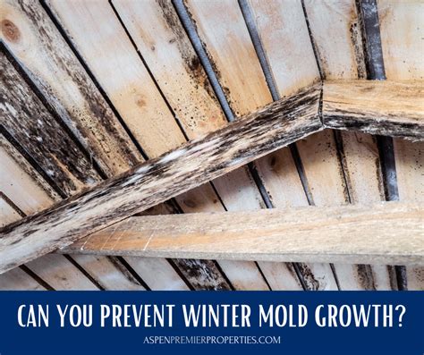 Place the bedroom furniture away from the walls to allow airflow and prevent mold growth. 5 Tips to Prevent Mold Growth in Your Home This Winter ...