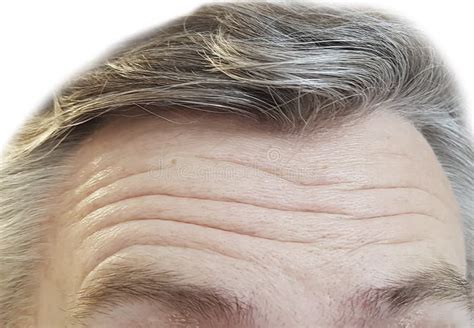 Forehead Men Wrinkles Gray Stock Photo Image Of Face Ageing 108699906