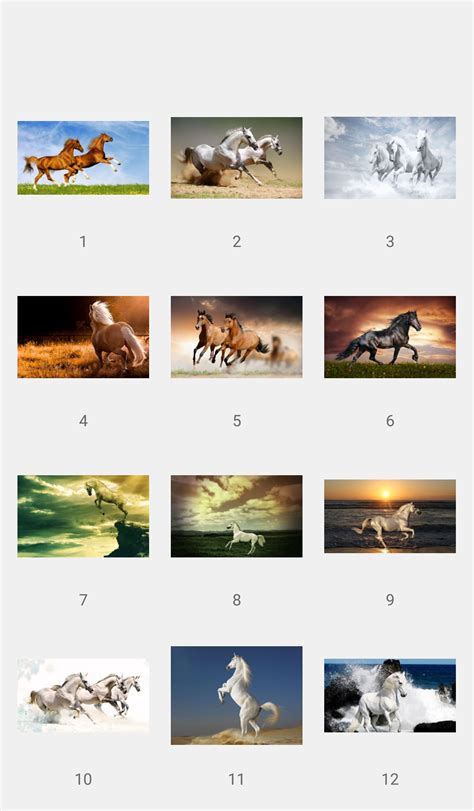 Live Horse Wallpapersoffline Apk For Android Download