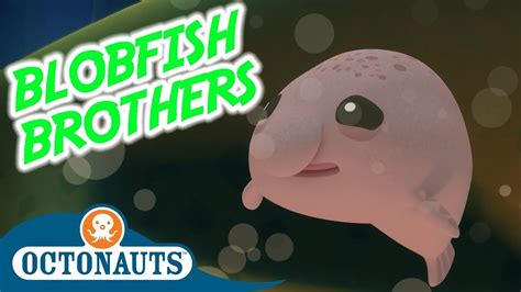 Octonauts Blobfish Brothers Full Episode Cartoons For Kids
