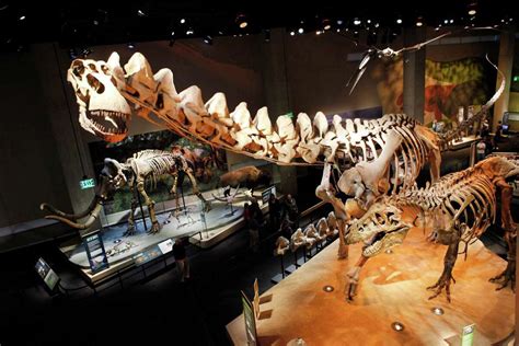 Super Size Dinosaurs Roam Dallas Perot Museum