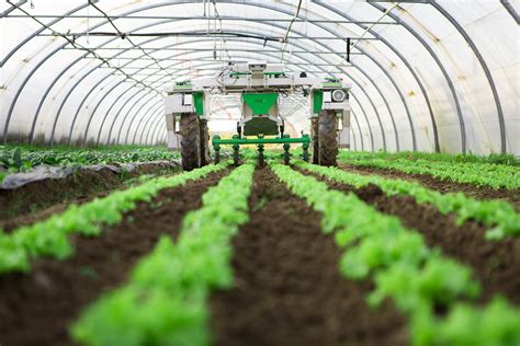 Iot In Agriculture 7 Practical Uses Of The Technology