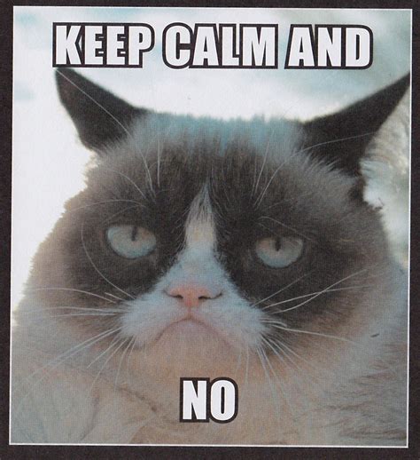 Grumpy Grump Cat Grumpy Cat Meme Cat Jokes