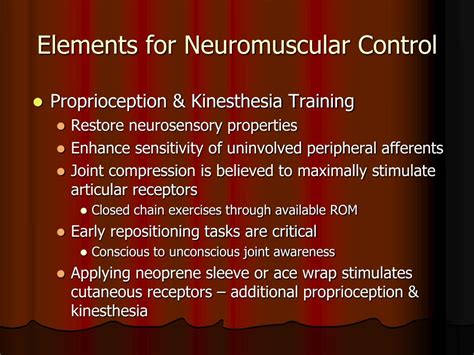 Ppt Re Establishing Neuromuscular Control Powerpoint Presentation