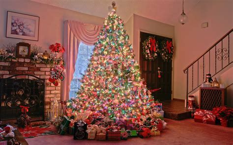 Photos Of Beautiful Big Christmas Tree On Holidays Hd Wallpapers