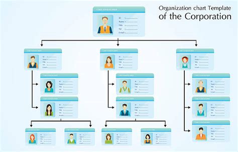 Organization Chart Clip Art Vector Images And Illustrations Istock