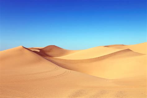 Free Picture Desert Dry Sand Dune Sky Sunlight Sand