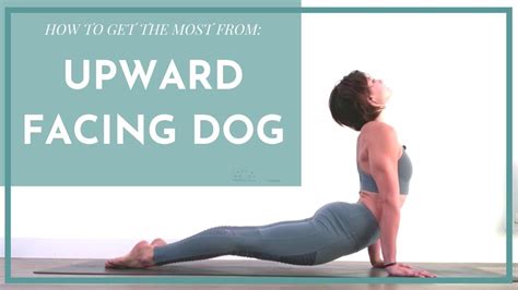 How To Do Upward Facing Dog Youtube